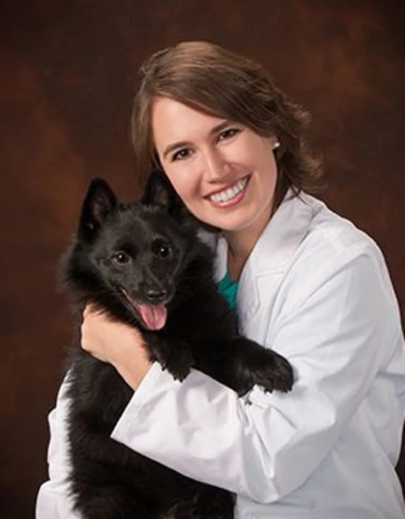 Dr. Jessica Cosentino, vet at Central Animal Hospital